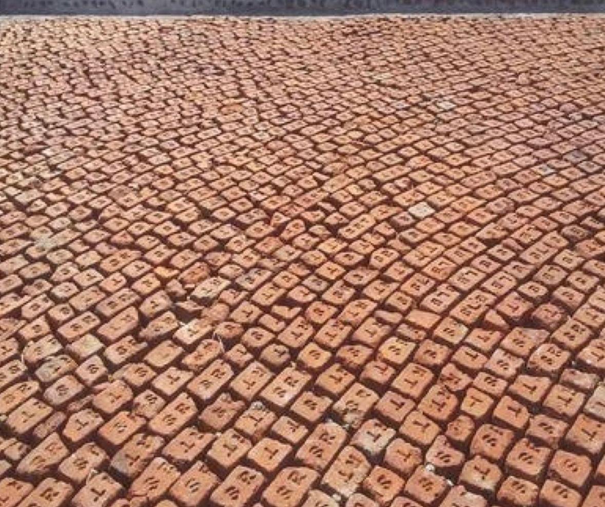 Serene Beach Retreat